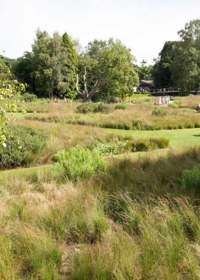 trentham gardens Piet Oudolf